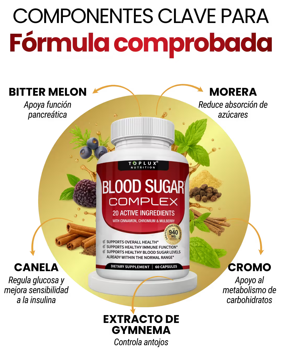 BLOOD SUGAR COMPLEX – CONTROL DEL AZUCAR EN LA SANGRE🩸